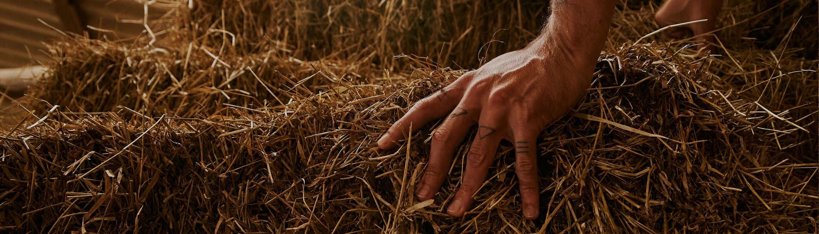 RANCH RUB HEALING SALVES