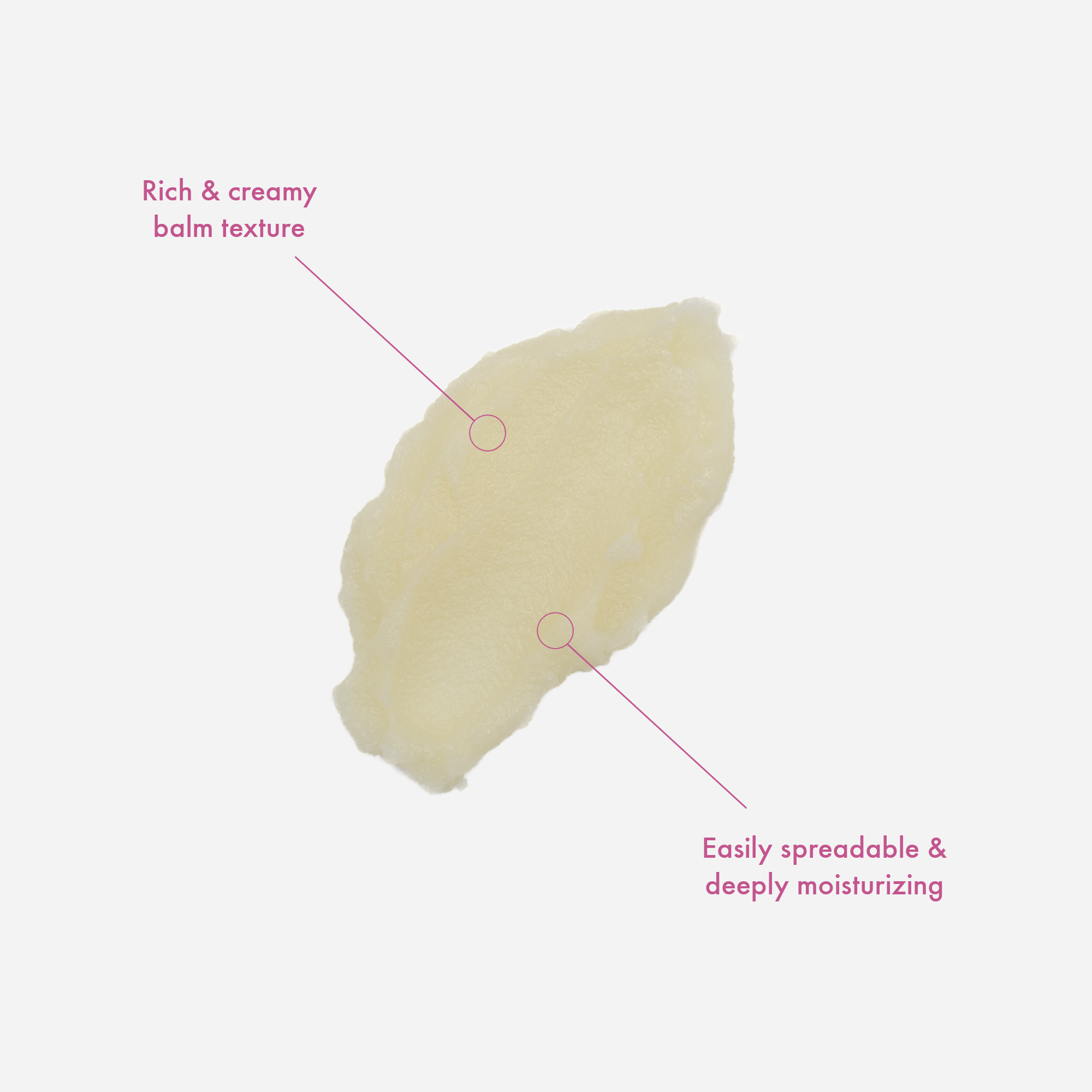 ANTI-AGING + ANTIOXIDANT TALLOW BEAUTY BALM WITH ROSE & YLANG YLANG